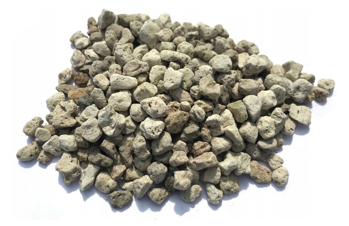 ZESTAW DO UPRAWY EUKALIPTUS SREBRNY DRZEWKO BONSAI NASIONA 5 SZT WIELOLETNI