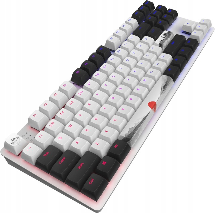 Klawiatura DARK PROJECT DPO87 Fuji