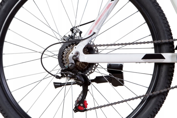 ROWER GÓRSKI MTB 29 CALI SHIMANO 21 BIEGÓW HAMULCE TARCZOWE RAMA 19"