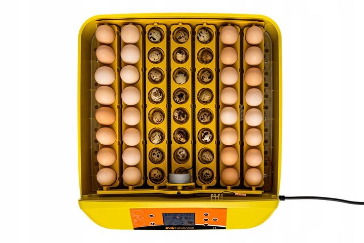 INKUBATOR AUTOMATYCZNY OVO do 56 JAJ wylęgarka klujnik + PRZEŚWIETLARKA