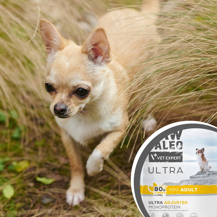 RAW PALEO ULTRA TURKEY ADULT MINI 2kg-sucha karma indyk dla psów ras małych
