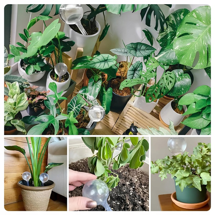 10x KULE NAWADNIAJĄCE DO KWIATÓW ROŚLIN AUTOMATYCZNY DOZOWNIK WODY