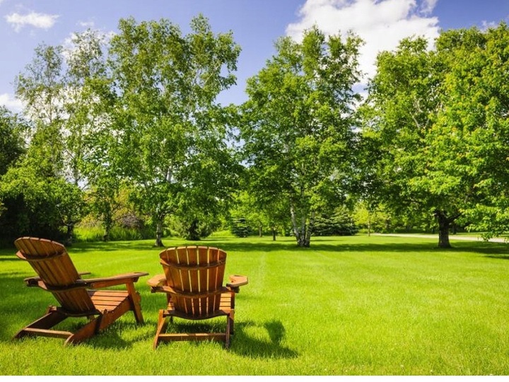 Trawa Mieszanka Traw SŁONECZNY OGRÓD tereny suche słoneczne 10KG Nasiona