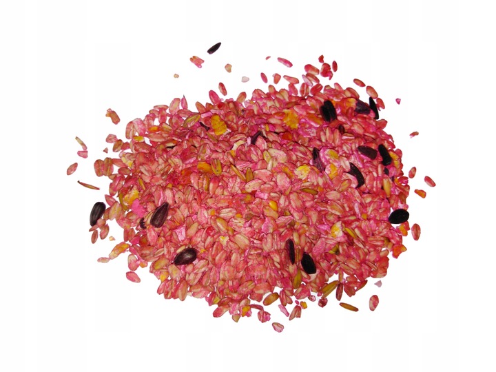 Trutka, trucizna na myszy i szczury SILNA MIX