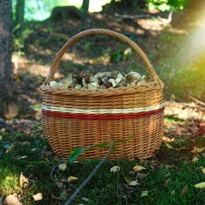 KOSZ WIKLINOWY KOSZYK NA GRZYBY ZAKUPY PIKNIK OWOCE Z WIKLINY DUŻY EKO