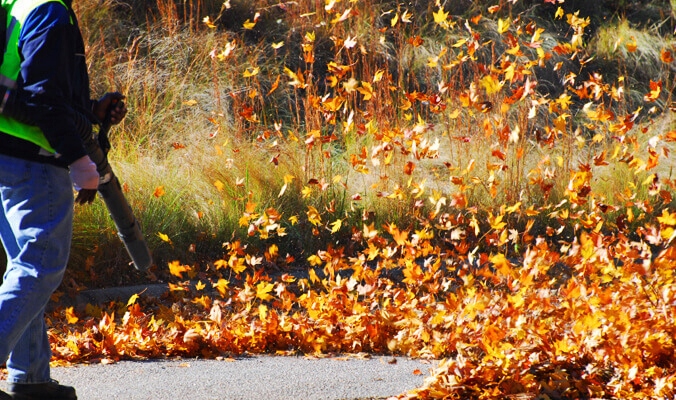 DMUCHAWA SPALINOWA OGRODOWA ODKURZACZ DO LIŚCI ŚNIEGU