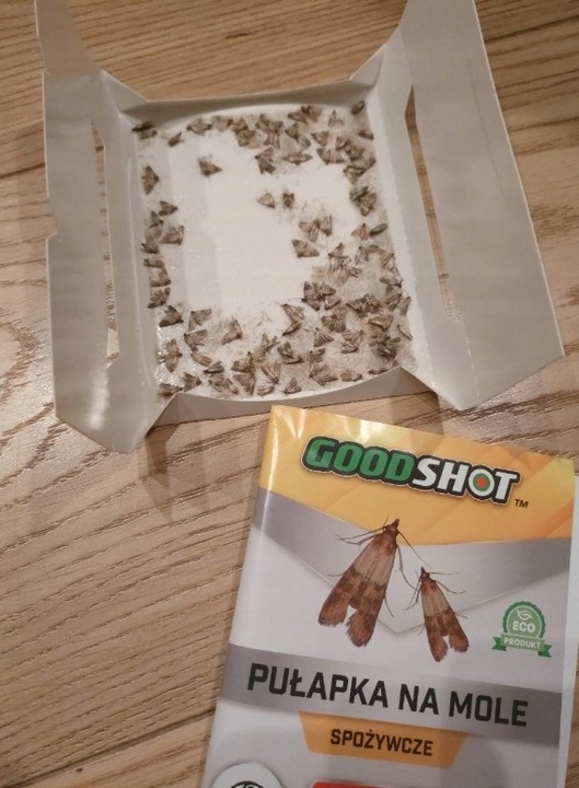 5szt Silna Pułapka na Mole Kuchenne Spożywcze Feromony Lep na Mole