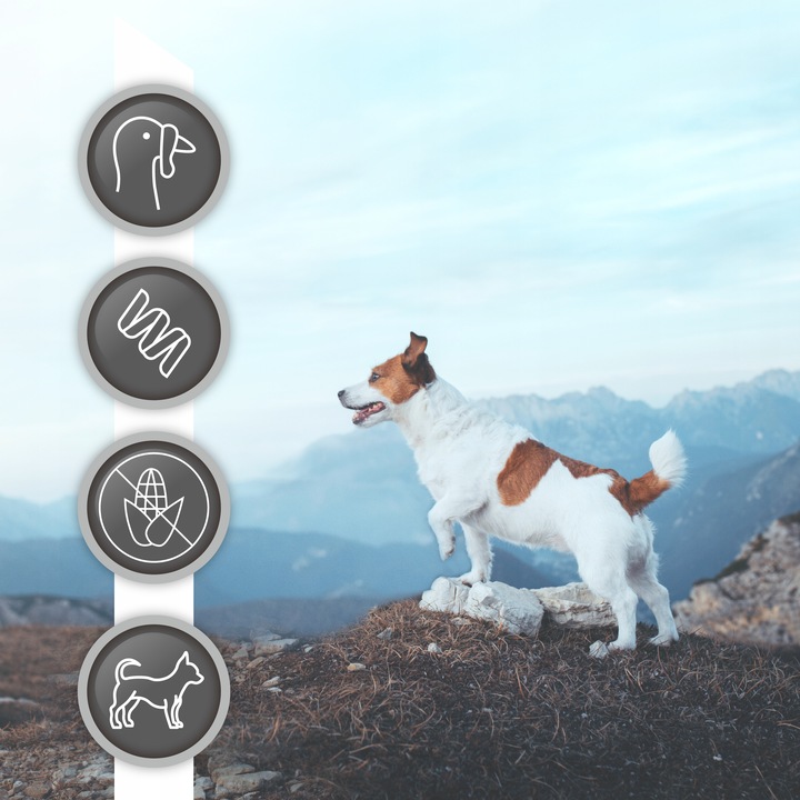 RAW PALEO ULTRA TURKEY ADULT MINI 2kg-sucha karma indyk dla psów ras małych