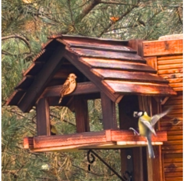 Karmnik Dla Ptaków Duży Na Prezent PREMIUM XXL Budka Ozdoba Ogrodu +