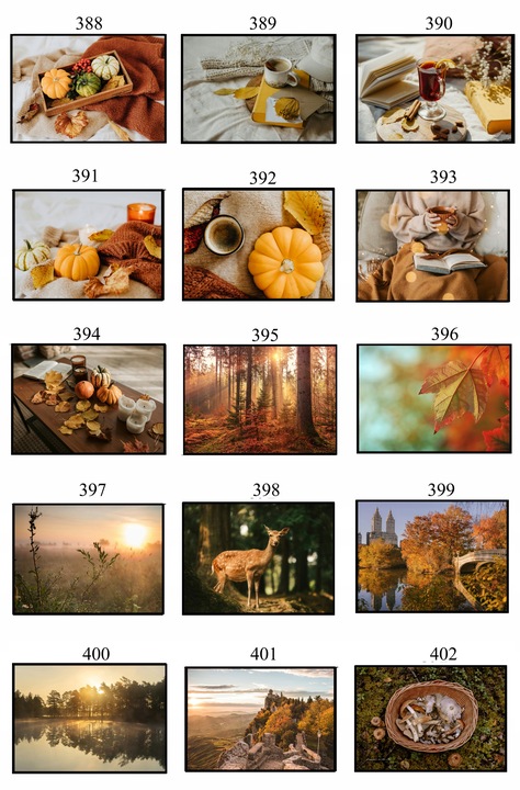 PLAKAT 40x50 JESIENNY poster DUŻO WZORÓW eviero do domu pejzaże na