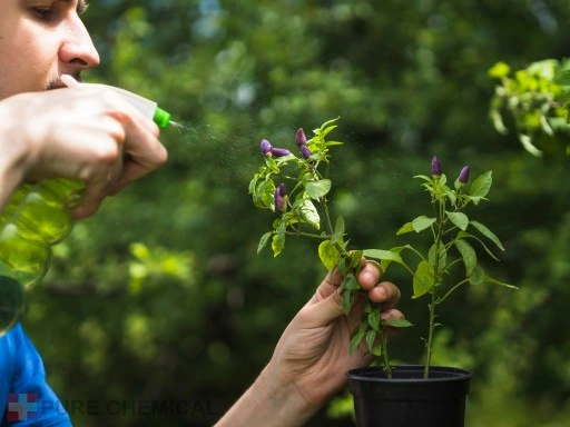 OLEJEK NEEM NIERAFINOWANY TŁOCZONY NA ZIMNO 500ml
