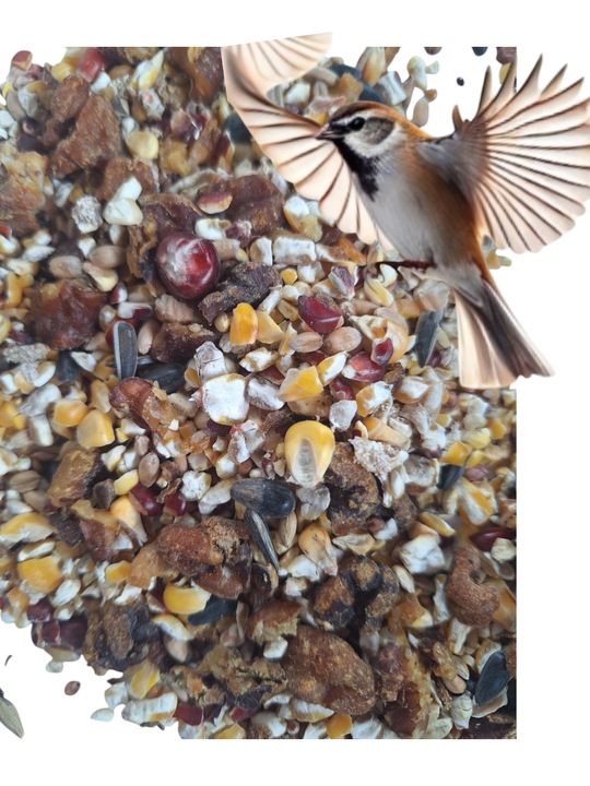 Pokarm dla ptaków dzikich orzechowy karmnik słonecznik 10kg GRATIS KULA