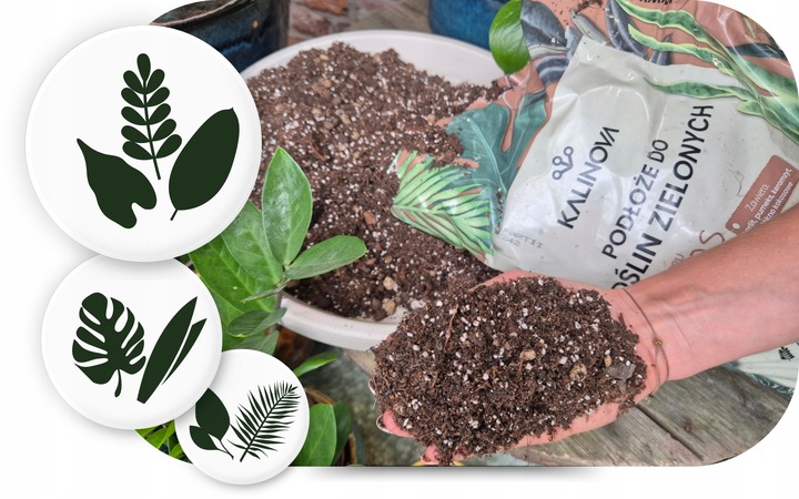 Podłoże Bigos Lekka Ziemia do kwiatów roślin zielonych 8L Mieszanka