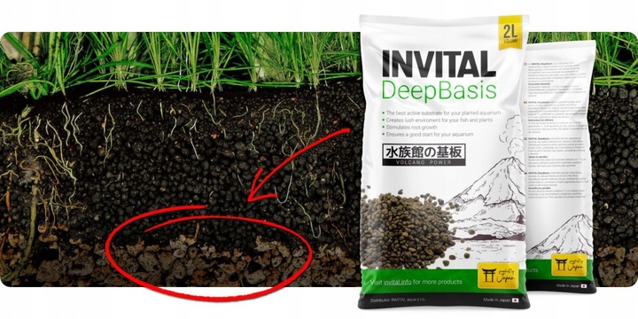 INVITAL DeepBasis 2l podłoże odżywcze pod żwir