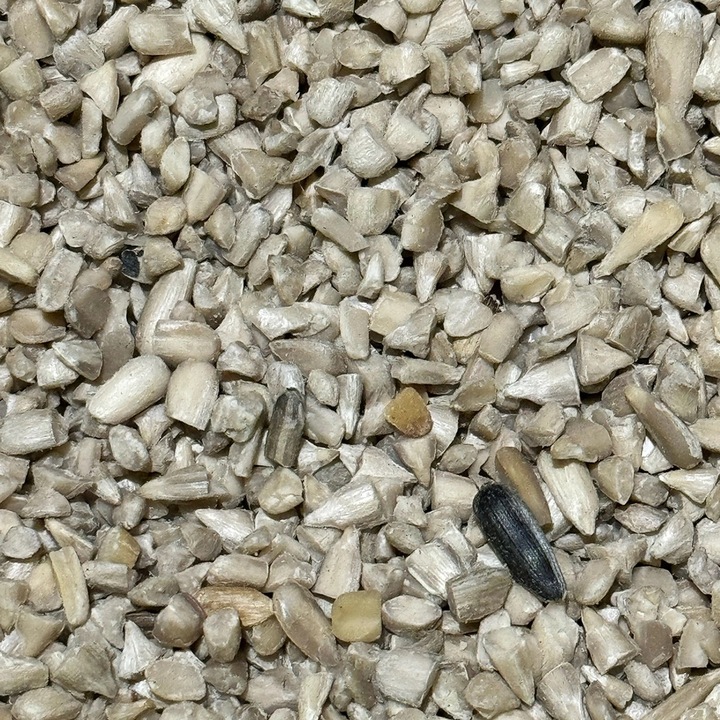 5kg SŁONECZNIK ŁUSKANY 99% ziarno karma zimowa dla ptaków CHAMPI