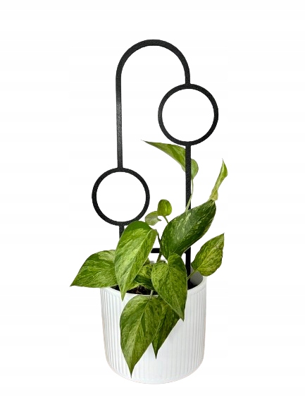 Podpora do Roślin Pnączy Podpórka Kwiatów Pnących Pergola Drabinka 38