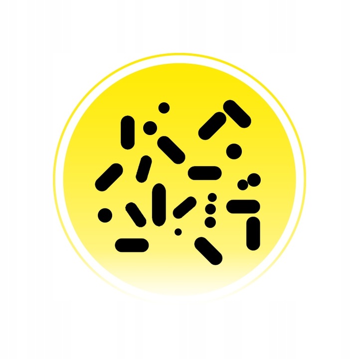 SILNE BAKTERIE do SZAMBA SANIDENN Plus USUWA Zapach Tłuszcz Kożuch na