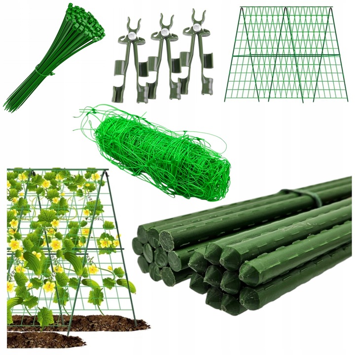 Podpora siatka do ogórków Pomidorów TYCZKA PALIK 7 Tyczek 150cm + Akcesoria