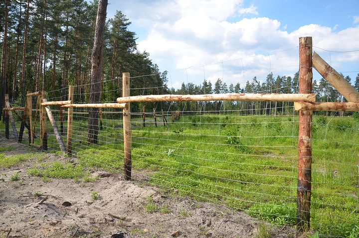 SIATKA LEŚNA OGRODZENIOWA 120/9/30 L 50m + GRATIS