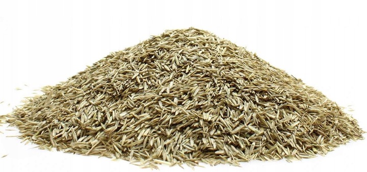 TRAWA K&M RENOWACYJNA 5kg CAŁOROCZNA SAMOZAGĘSZCZAJĄCA ważna 2027 rok