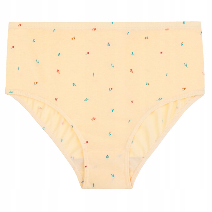 MAJTKI DAMSKIE BAWEŁNIANE MORAJ PLUS SIZE KLASYCZNE 4-PAK. ROZM. 4XL