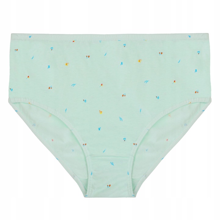 MAJTKI DAMSKIE BAWEŁNIANE MORAJ PLUS SIZE KLASYCZNE 4-PAK. ROZM. 4XL