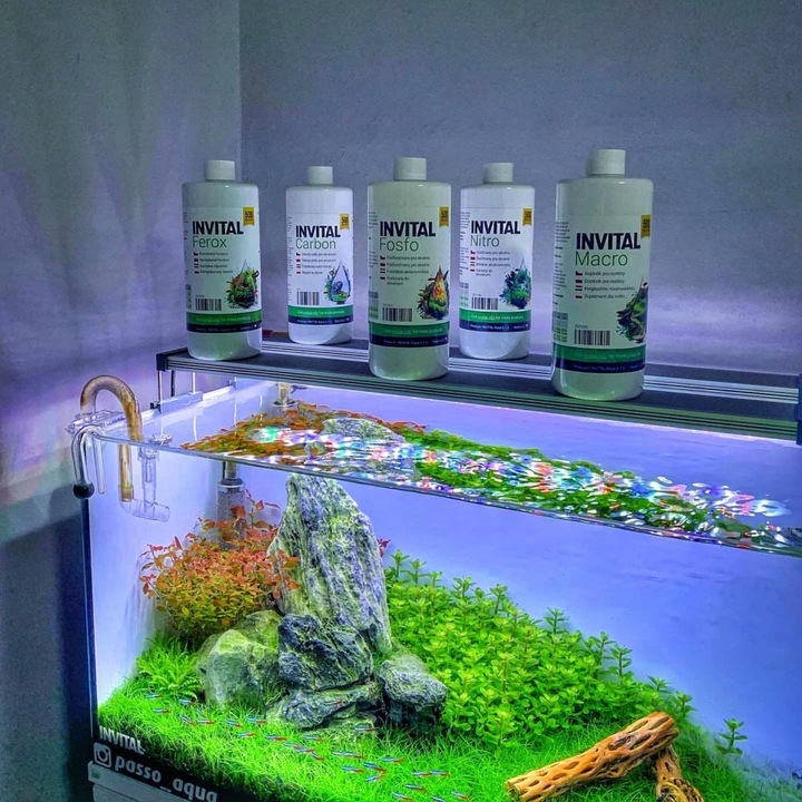 INVITAL Macro 500 ml