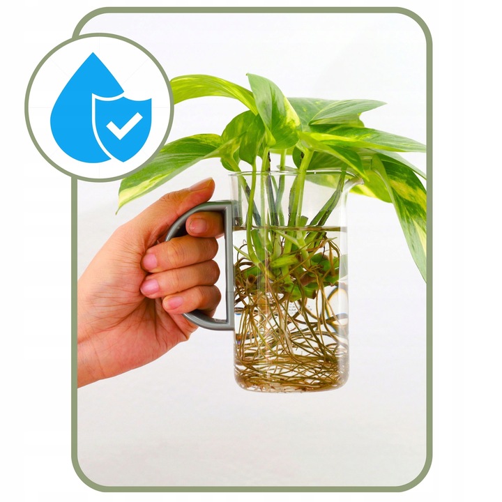 Mech Torfowiec SPHAGNUM 5L Podłoże do Storczyka Ukorzeniania Naturalny