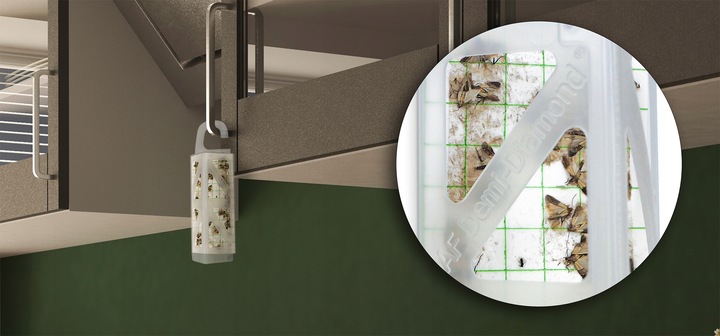 10X SILNY WABIĄCY LEP NA MOLE SPOŻYWCZE MKLIKI MĄCZNE FEROMONOWA