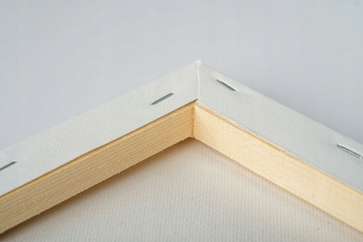 Malowanie Po Numerach Zestaw na Ramie Farby Akrylowe 40x50 cm