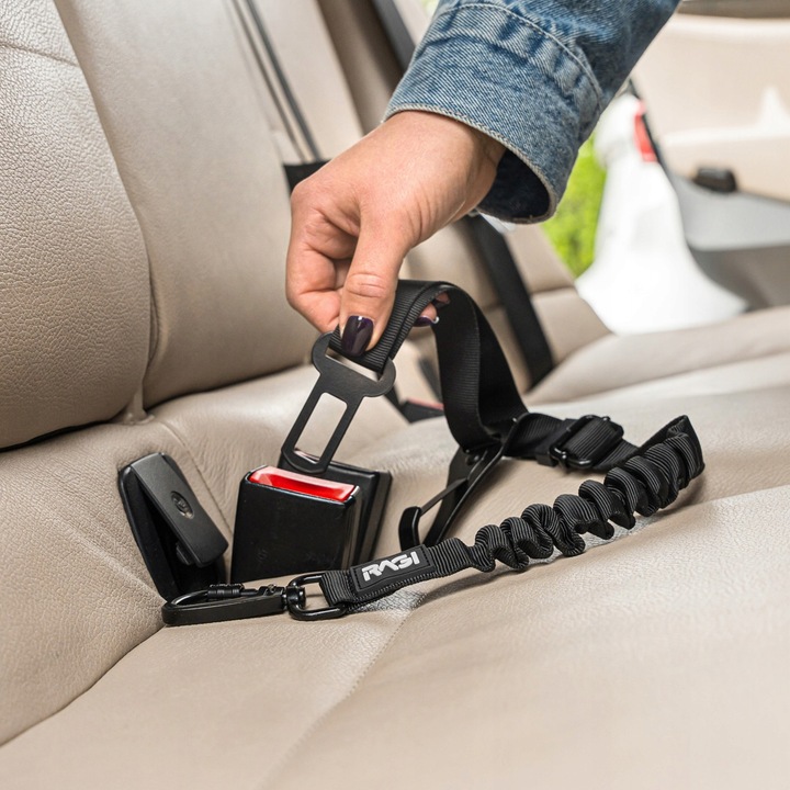 PAS BEZPIECZEŃSTWA SMYCZ DLA PSA Kota Pasy ISOFIX 2w1 DO SAMOCHODU AUTA