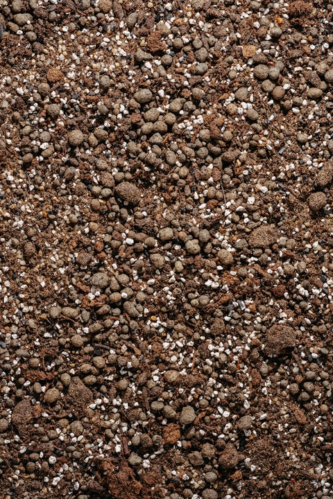 Ziemia do SUKULENTÓW i KAKTUSÓW 3L bigos, podłoże