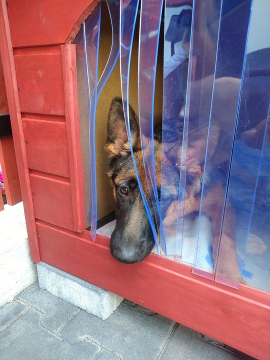 BUDA DLA PSA XL OCIEPLANA RÓŻNE KOLORY+GRATIS