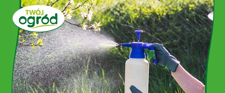 MIEDZIAN 50WP 100G + SYLLIT 65WP 45G NA CHOROBY GRZYBOWE OWOCÓW I