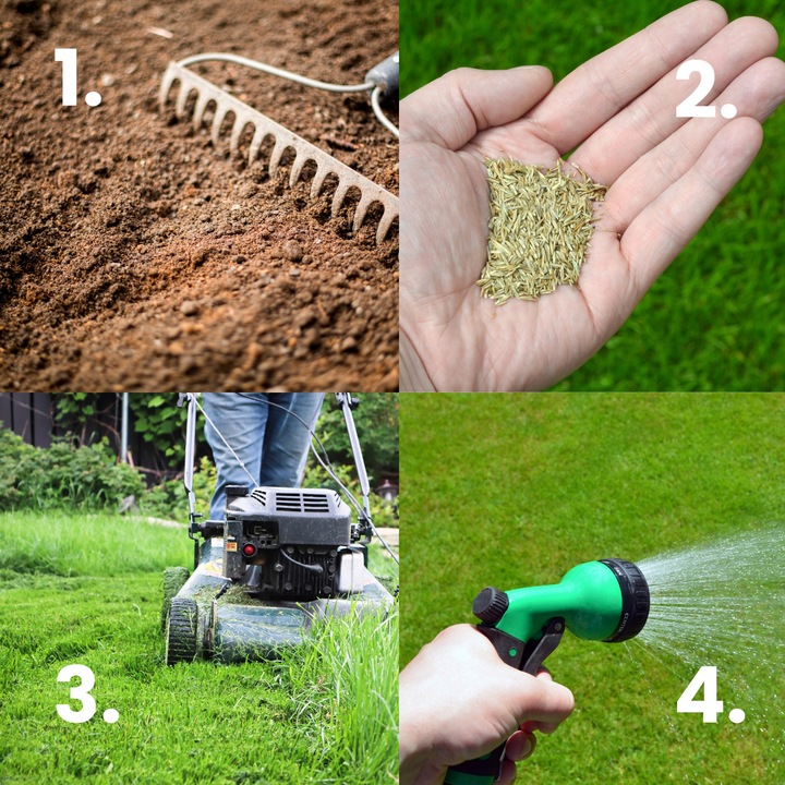 Trawa Nasiona Uniwersalna 5kg na Tereny Suche Trawnik 200m2 Mieszanka Traw