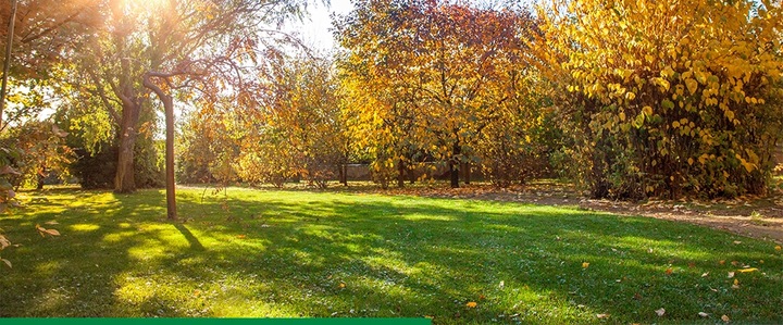 JESIENNY NAWÓZ DO TRAWY TRAWNIKA TRAWNIKÓW FRUKTOVIT 5 KG WZMACNIA