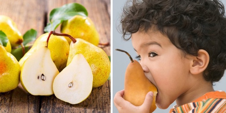 Grusza KLAPSA dobrze nam znana PYSZNA FAWORYTKA