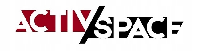 UCHWYT DO WYCIĄGU ATLASU POJEDYNCZY OBROTOWY STALOWY DO ĆWICZEŃ JAKOŚĆ PRO