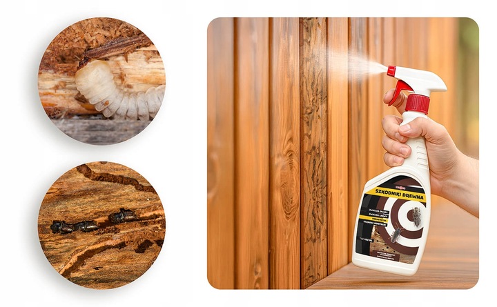 STRONG SILNY ŚRODEK NA KORNIKI KOŁATKI SPUSZCZELE PERMETRYNA SPRAY 450