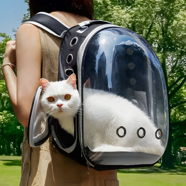 TRANSPORTER PLECAK TORBA PRZEZROCZYSTA DLA KOTA PSA ZWIERZĄT