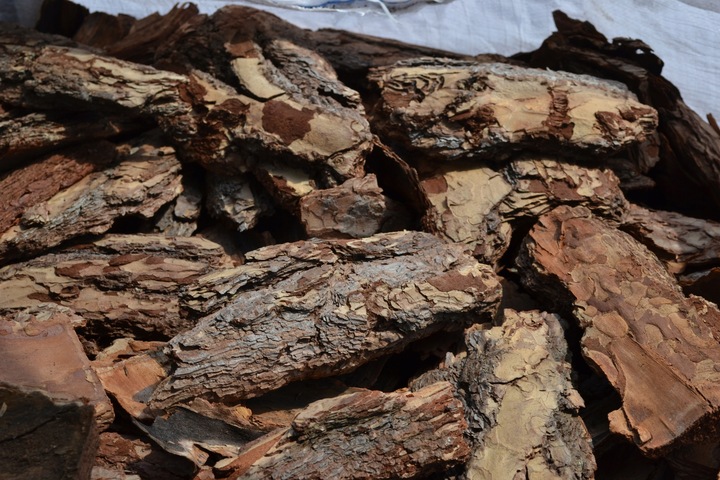 SUPER OZDOBNA Kora sosnowa ręcznie wybierana GRUBA