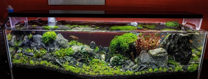 ŻWIREK CZARNY 1-3 mm PODŁOŻE DO AKWARIUM 25kg