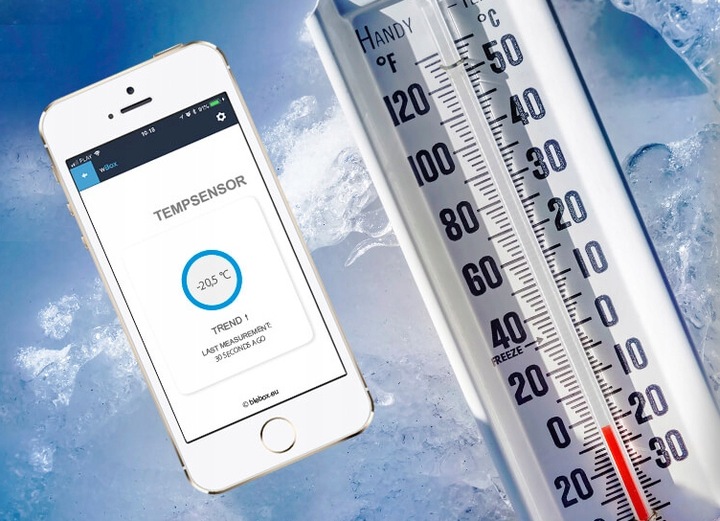BleBox tempSensor v2 USB-C czujnik temperatury WIFI (długość sondy 1m)