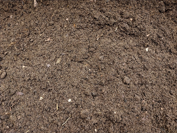 Podłoże dla żółwia greckiego stepowego do terrarium Testudo Soil Baby 25 L