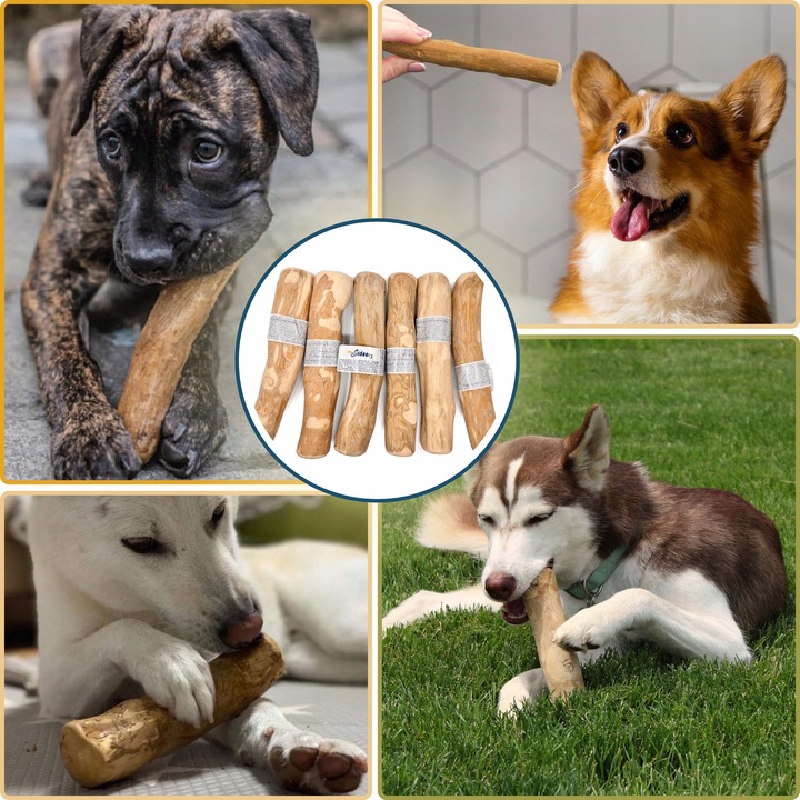 PATYK Z DRZEWA KAWOWEGO M NATURALNY KAWOWY GRYZAK DLA PSA WYTRZYMAŁY ŚREDNI