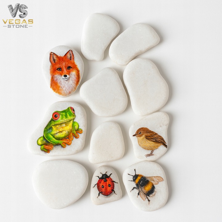 KAMIENIE DO MALOWANIA DLA DZIECI BIAŁE PŁASKIE 4-6CM GŁADKIE ZESTAW