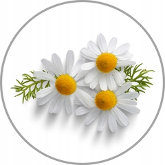 Maska przeciw wypadaniu do włosów blond niefarbowanych WAX Blonda