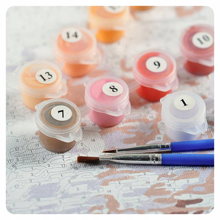 Obraz do MALOWANIA PO NUMERACH Na Ramie ARTNAPI