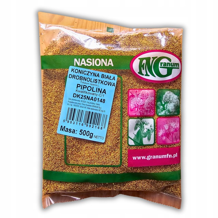 MIKROKONICZYNA NASIONA KONICZYNA DROBNOLISTNA BIAŁA 500G GĘSTA dekoracyjna