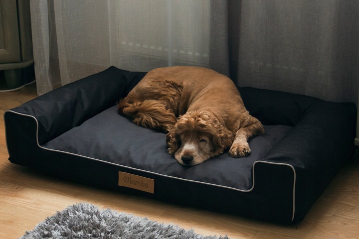 Legowisko dla psa duża kanapa posłanie XXL